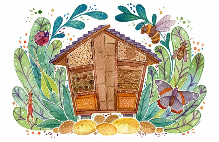 Elisenda Solé i Climent - Hotel d'insectes