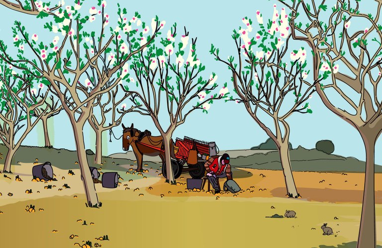 Pedro Giménez - El Perico i els ametllers!