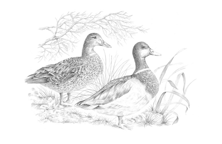 Quim Conca - La Riera de Rubí