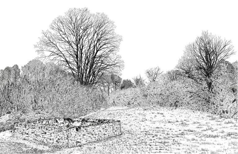 Raquel Navas Mirabal - Safareig del Teies