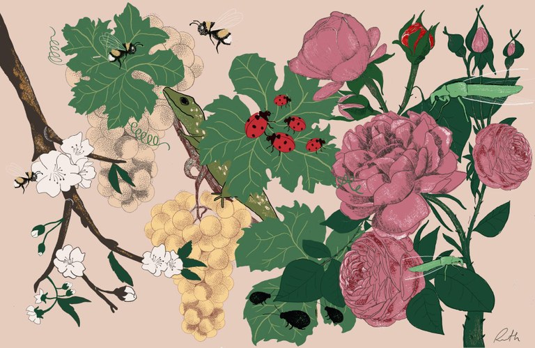 Ruth Hernández - Companys de la Vinya de l'Òscar