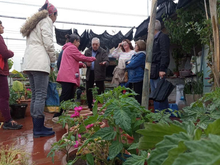 Los secretos del huerto urbano