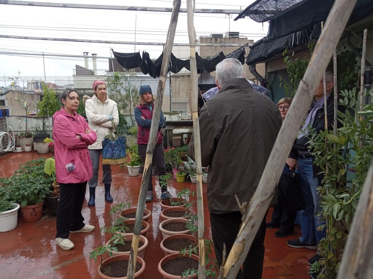 Los secretos del huerto urbano