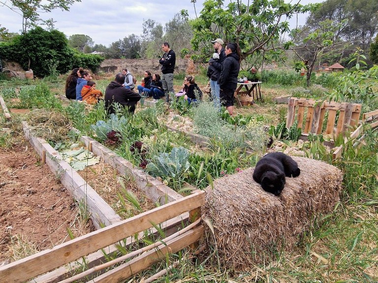 El huerto comestible de Can Balasch