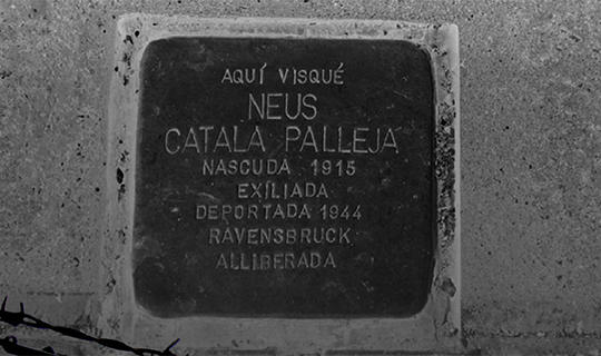 El adoquín de Neus Català i Pallejà